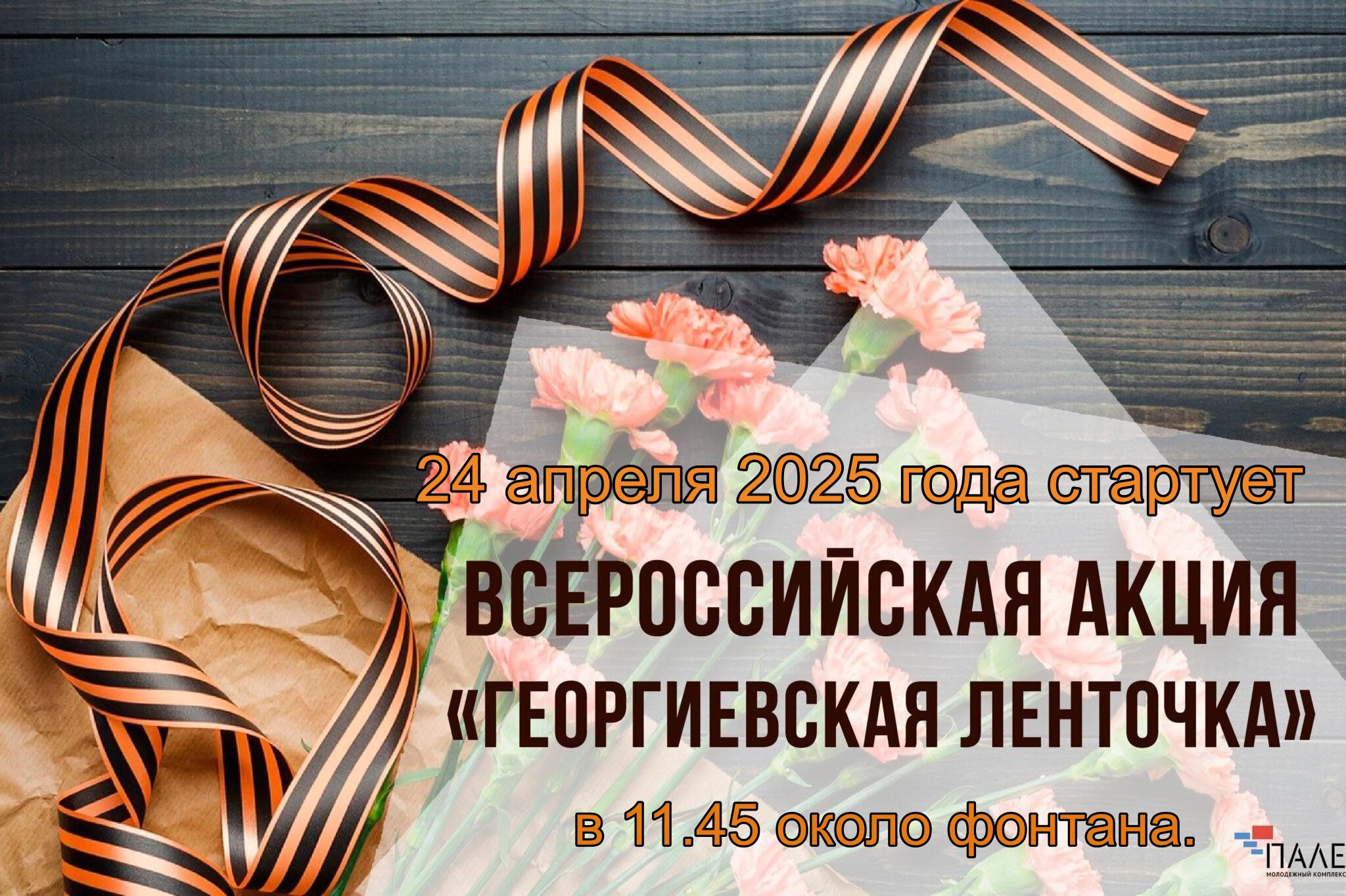 5206501502905087013.jpg